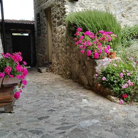 Villa La Costa Di Gavedo Extérieur photo